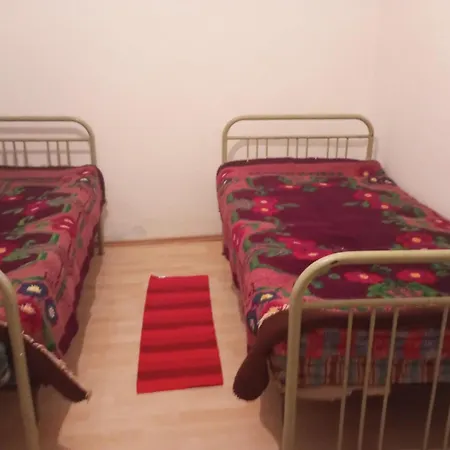 Holiday home Dragacevska Kuca Na Bregu *
