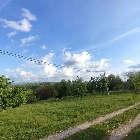 Dragacevska Kuca Na Bregu * Vica