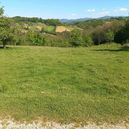 Dragacevska Kuca Na Bregu Holiday home Vica