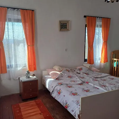 Case de vacanță Dragacevska Kuca Na Bregu *