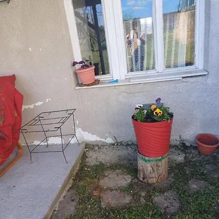 Holiday home Dragacevska Kuca Na Bregu