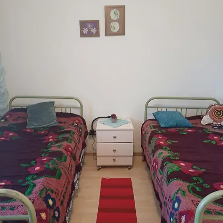 Dragacevska Kuca Na Bregu Vica