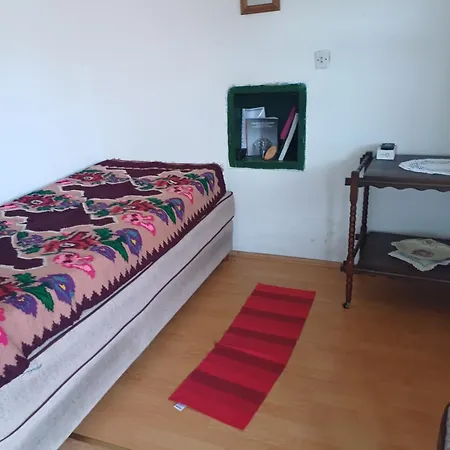 Semesterbostad Dragacevska Kuca Na Bregu