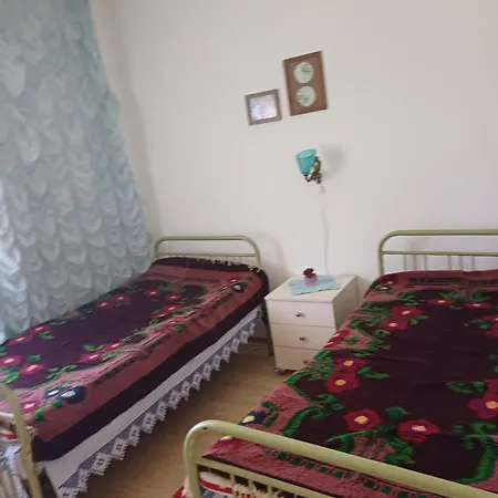 Dragacevska Kuca Na Bregu * Vica