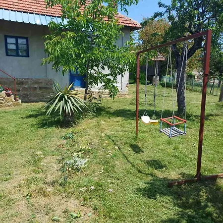 Dragacevska Kuca Na Bregu * Vica
