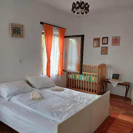 Dragacevska Kuca Na Bregu *