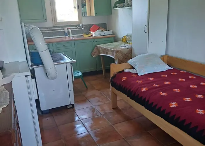 Dragacevska Kuca Na Bregu 度假居 *