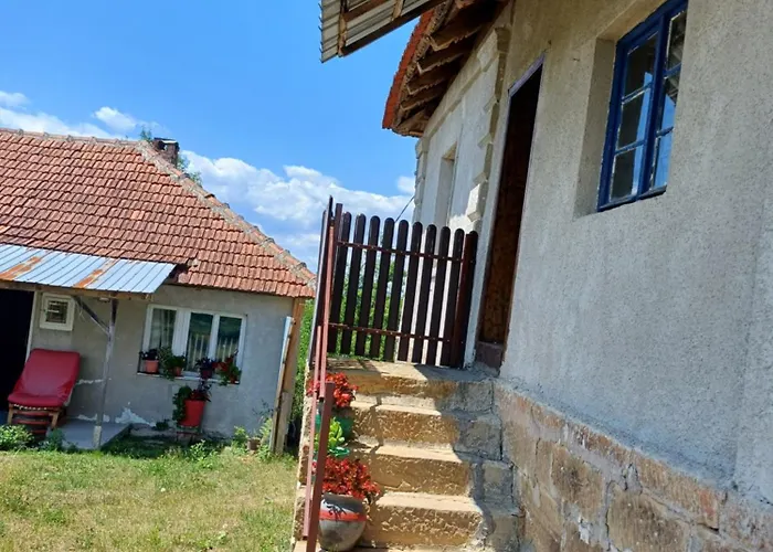 Dragacevska Kuca Na Bregu 度假居 Vica